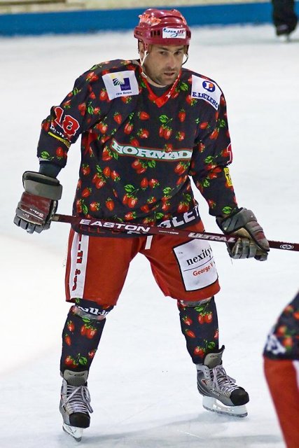 Photo hockey reportage D3 Carré Final : Anglet - Français Volants