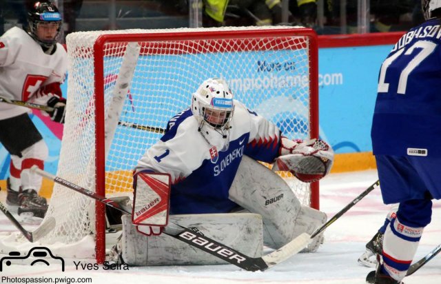 Photo hockey match Slovakia - Switzerland le 21/01/2020