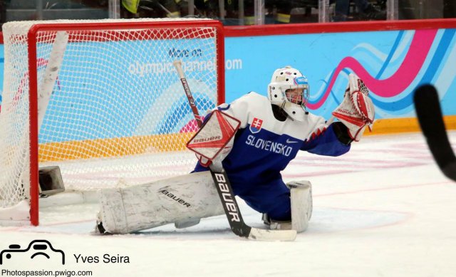 Photo hockey match Slovakia - Switzerland le 21/01/2020
