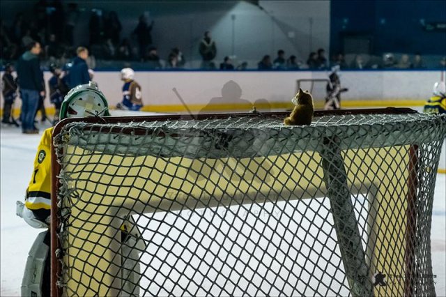 Photo hockey reportage Festival des Petites Crosses