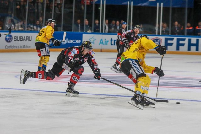 Photo hockey match Rouen - Amiens  le 16/02/2020