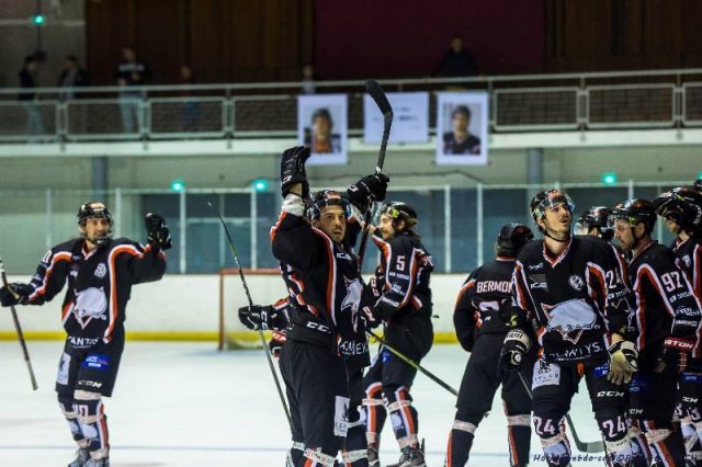 Photo hockey match Toulouse-Blagnac - Paris (FV) le 15/02/2020
