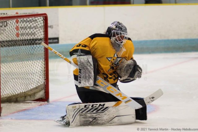 Photo hockey match Clermont-Ferrand - Strasbourg  le 03/04/2021