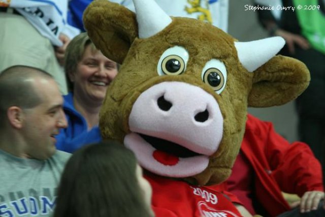 Photo hockey reportage CM09 - J2 : Finlande et Tchéquie 5 partout !!