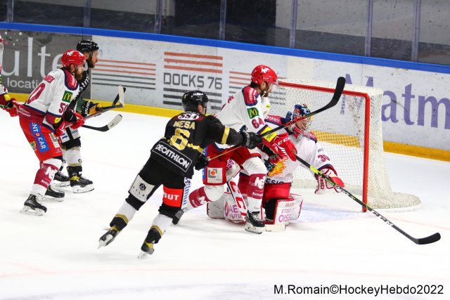 Photo hockey match Rouen - Grenoble  le 18/01/2022