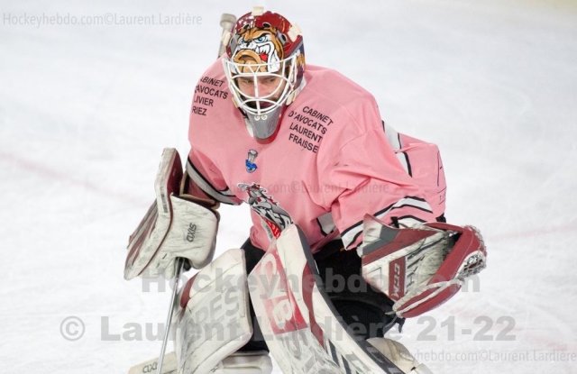 Photo hockey match Grenoble  - Bordeaux le 25/01/2022