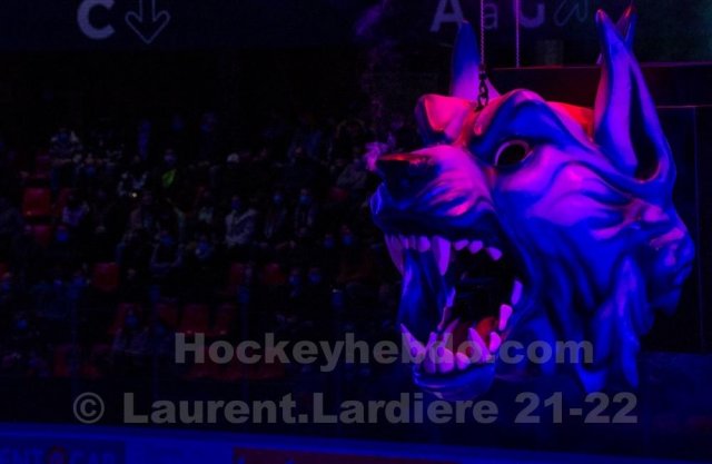 Photo hockey match Grenoble  - Bordeaux le 25/01/2022