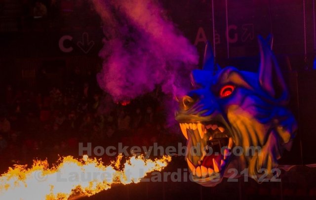 Photo hockey match Grenoble  - Bordeaux le 25/01/2022