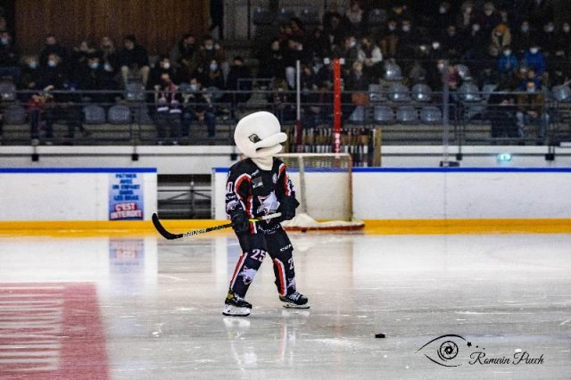 Photo hockey match Toulouse-Blagnac - Poitiers le 22/01/2022