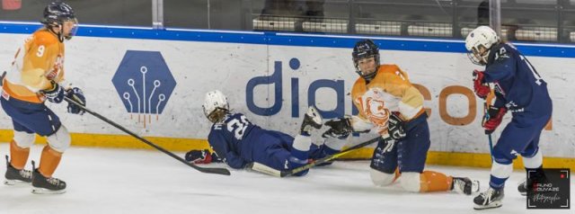 Photo hockey match France - Pays Bas le 20/04/2022