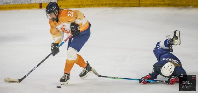 Photo hockey match France - Pays Bas le 20/04/2022