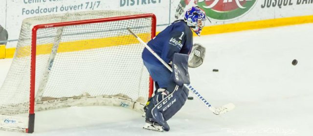 Photo hockey match France - Pays Bas le 20/04/2022