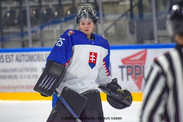 Photo hockey match Austria - Slovakia le 30/04/2022