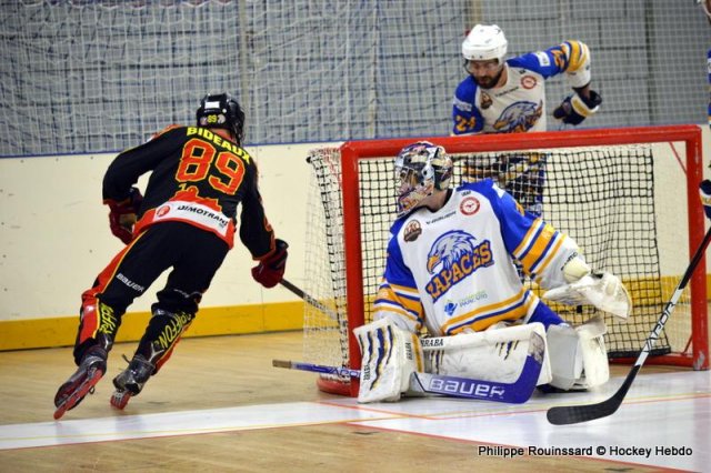 Photo hockey reportage N1 : Le survol des Rapaces