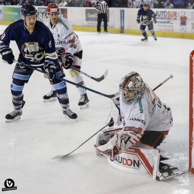 Photo hockey match Tours  - Cholet  le 19/11/2022