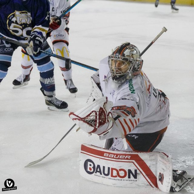 Photo hockey match Tours  - Cholet  le 19/11/2022