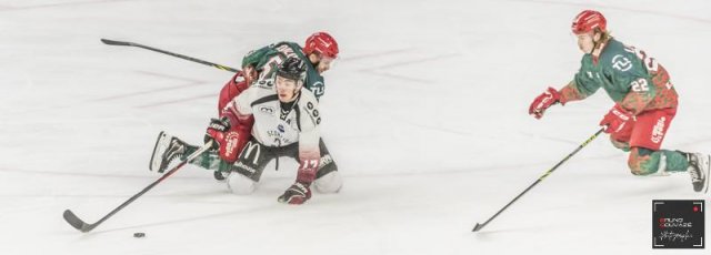 Photo hockey match Cergy-Pontoise - Mulhouse le 22/11/2022