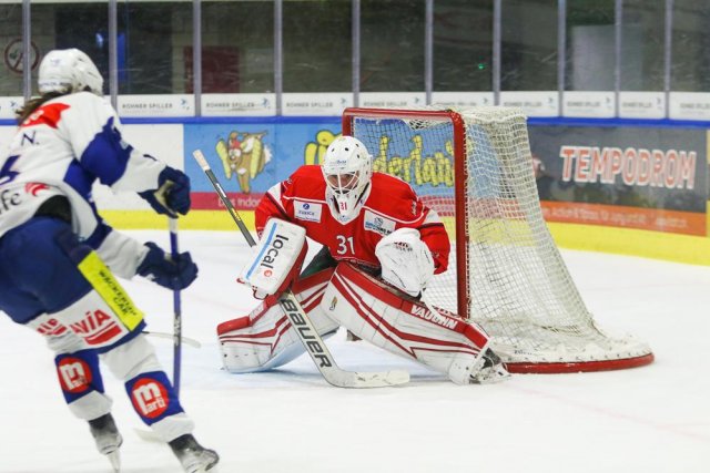 Photo hockey match Winterthur - Grasshoper / Zürich II le 07/01/2023