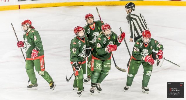 Photo hockey match Cergy-Pontoise / Féminin - Evry / Viry  - Féminin le 07/01/2023