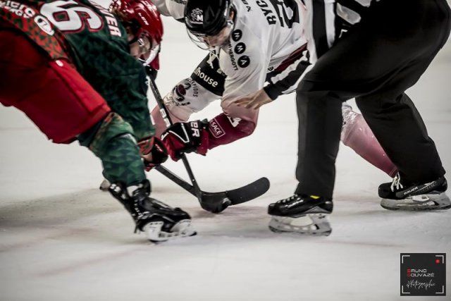 Photo hockey match Cergy-Pontoise - Mulhouse le 24/01/2023