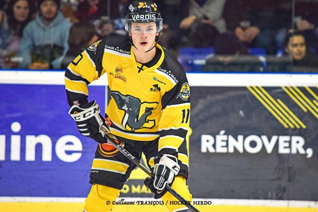 Photo hockey match Nantes - Chambéry le 28/01/2023