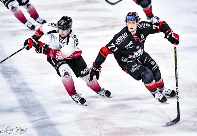 Photo hockey match Bordeaux - Mulhouse le 31/01/2023