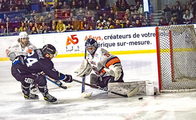 Photo hockey match Nantes - Montpellier  le 11/02/2023