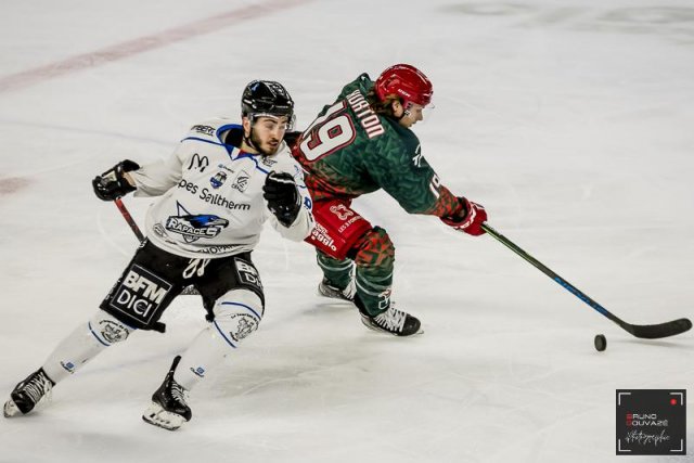 Photo hockey match Cergy-Pontoise - Gap  le 15/03/2023