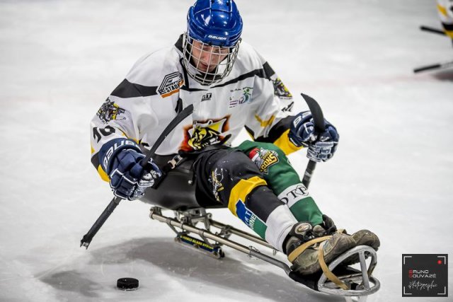 Photo hockey reportage Para Hockey