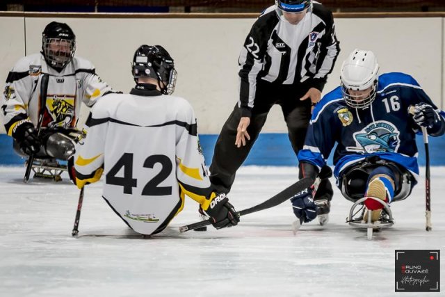 Photo hockey reportage Para Hockey