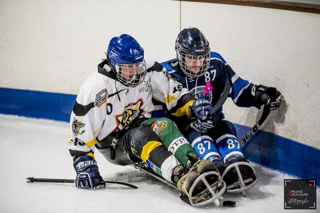 Photo hockey reportage Para Hockey