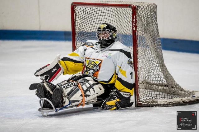 Photo hockey reportage Para Hockey