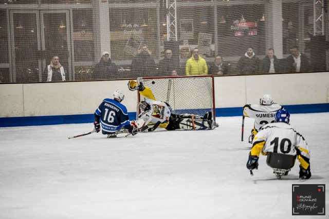 Photo hockey reportage Para Hockey
