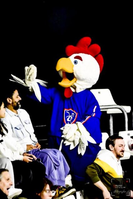 Photo hockey match France - Slovenia le 29/05/2023
