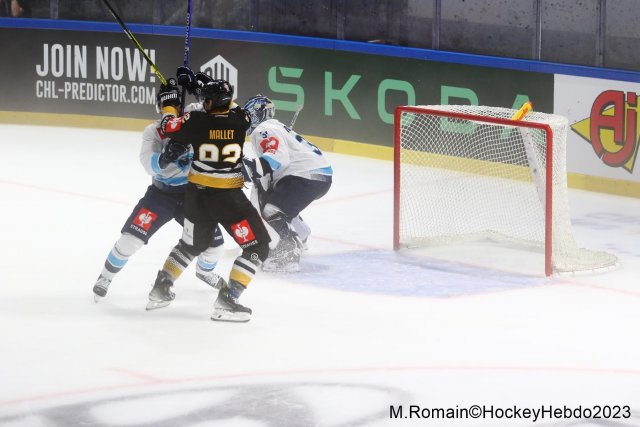 Photo hockey match Rouen - Ingolstadt  le 30/08/2023