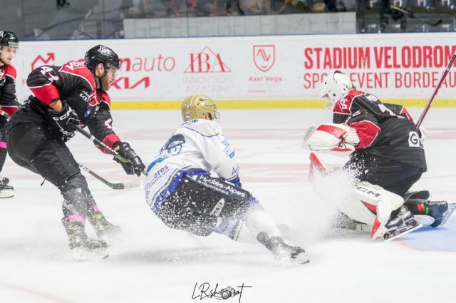 Photo hockey match Bordeaux - Gap  le 17/10/2023