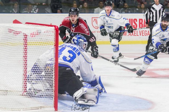 Photo hockey match Bordeaux - Gap  le 17/10/2023