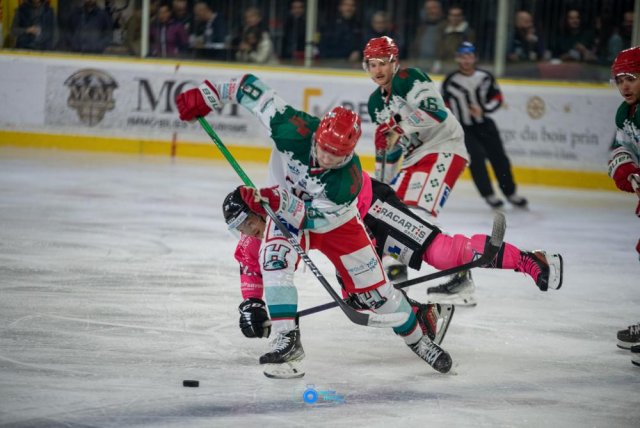 Photo hockey match Chamonix  - Anglet le 20/10/2023