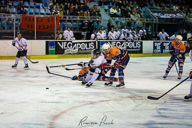 Photo hockey match Montpellier  - Toulouse-Blagnac le 24/10/2023
