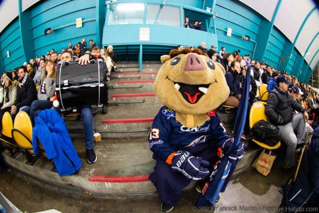 Photo hockey match Clermont-Ferrand - Roanne le 04/11/2023