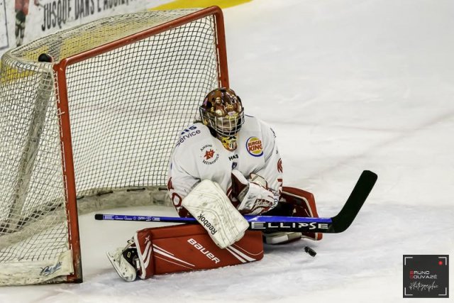 Photo hockey match Cergy-Pontoise / Féminin - Amiens / Féminin le 11/11/2023