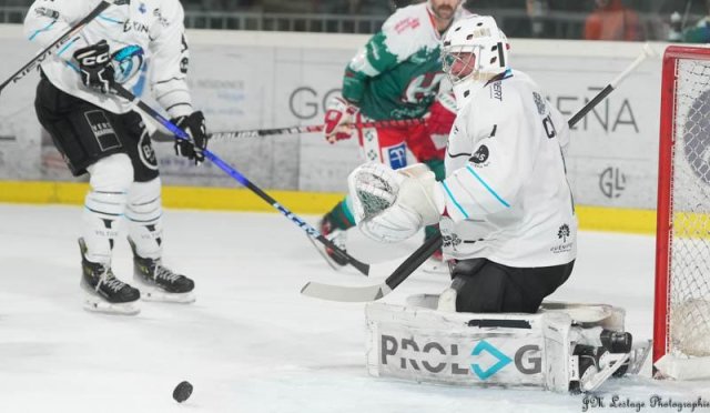 Photo hockey match Anglet - Marseille le 17/11/2023