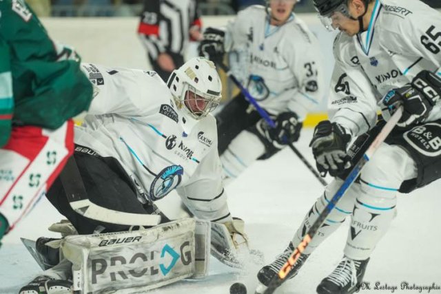 Photo hockey match Anglet - Marseille le 17/11/2023