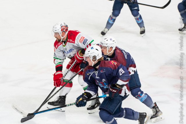 Photo hockey match Cardiff - Zemgale  le 18/11/2023