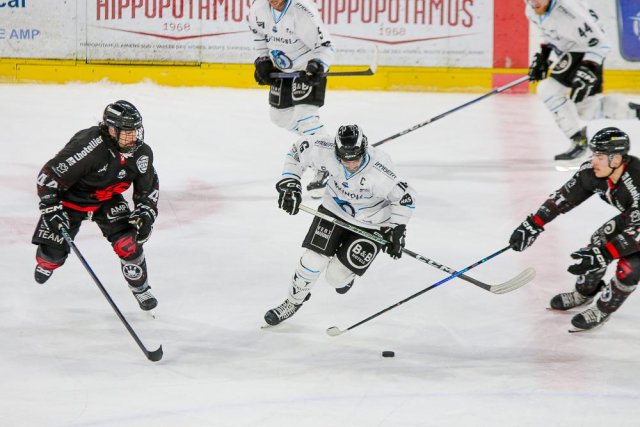 Photo hockey match Amiens  - Marseille le 05/12/2023