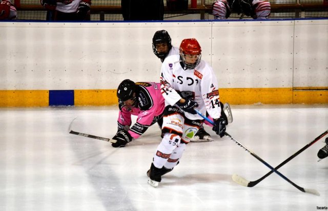 Photo hockey match Rennes - Cholet II le 09/12/2023