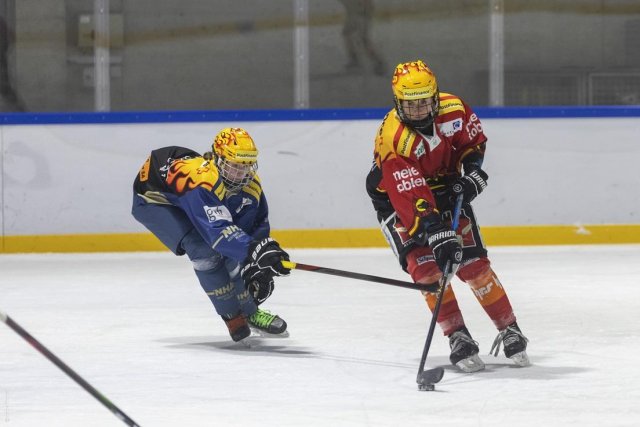 Photo hockey match Neuchâtel - Bern le 13/01/2024