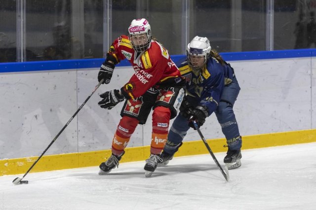 Photo hockey match Neuchâtel - Bern le 13/01/2024