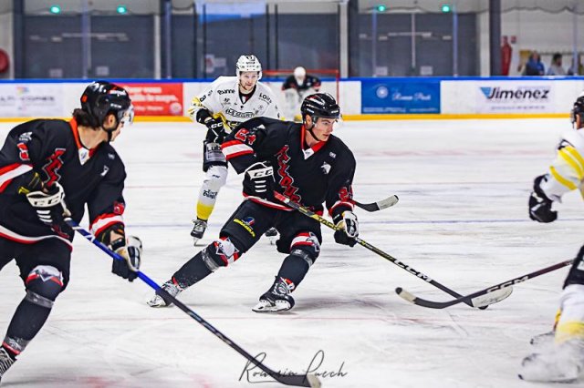 Photo hockey match Toulouse-Blagnac - Roanne le 20/01/2024