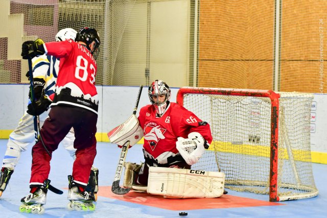 Photo hockey reportage Roller N3 - Villard Bonnot - Strasbourg